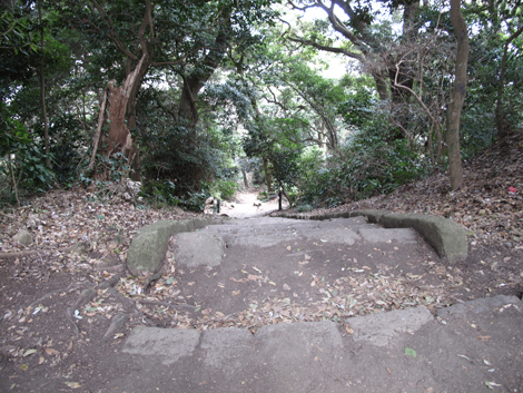 20180223hike (165)